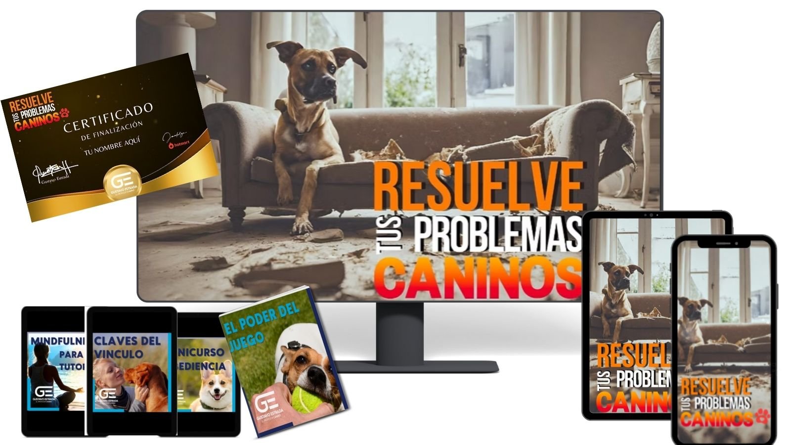 problemas caninos 