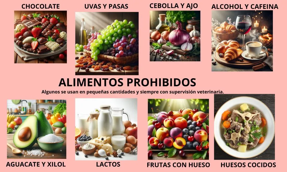 (01) "Introducción General: Nutrición para Perros y Gatos" 2