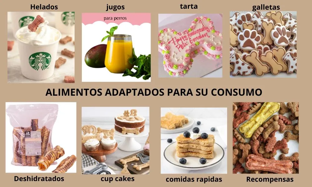 (01) "Introducción General: Nutrición para Perros y Gatos" 7
