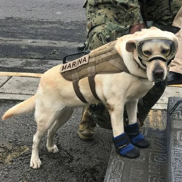 Frida legado aun vivo