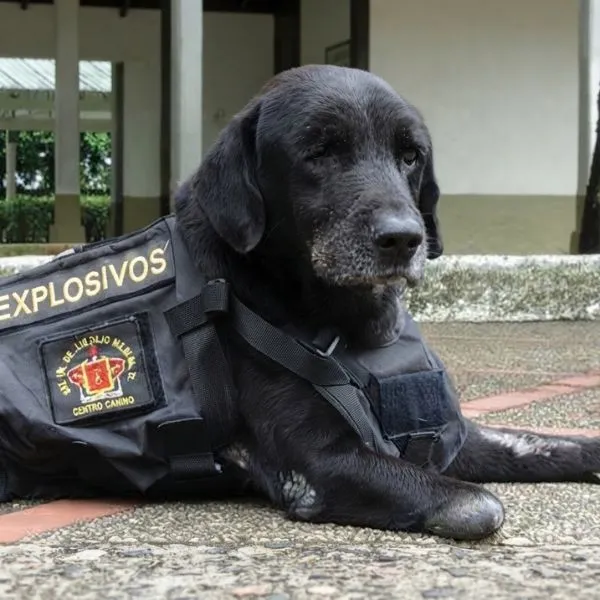 Kaiser - Colombia 