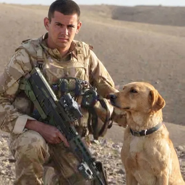héroes caninos