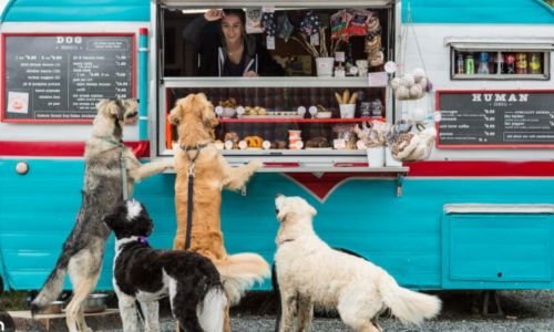 Tendencia en auge: Emprender en repostería y snacks para mascotas conquista corazones y colitas 5 La Repostería y snacks Para Mascotas Artesanales