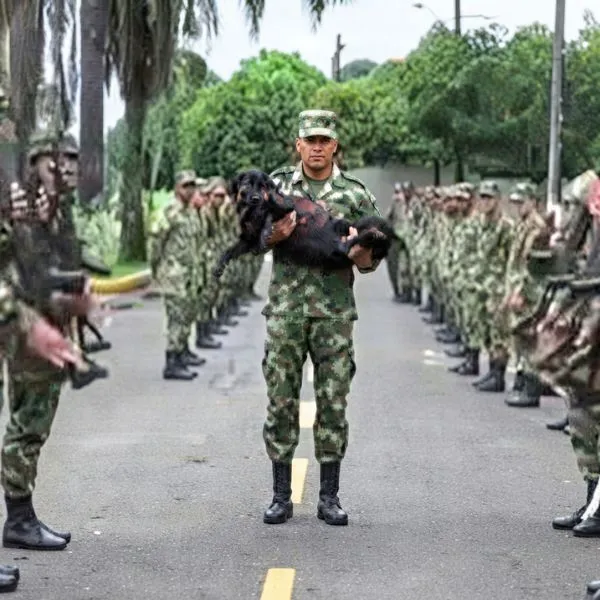 Kaiser - Colombia 