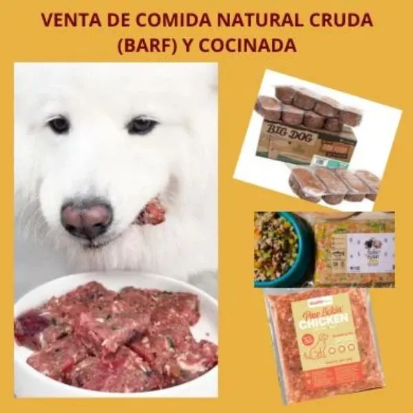 alimentos naturales para mascotas