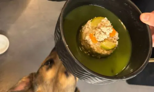 (10) Tendencia en auge: Emprender en repostería y snacks para mascotas conquista corazones y colitas 16