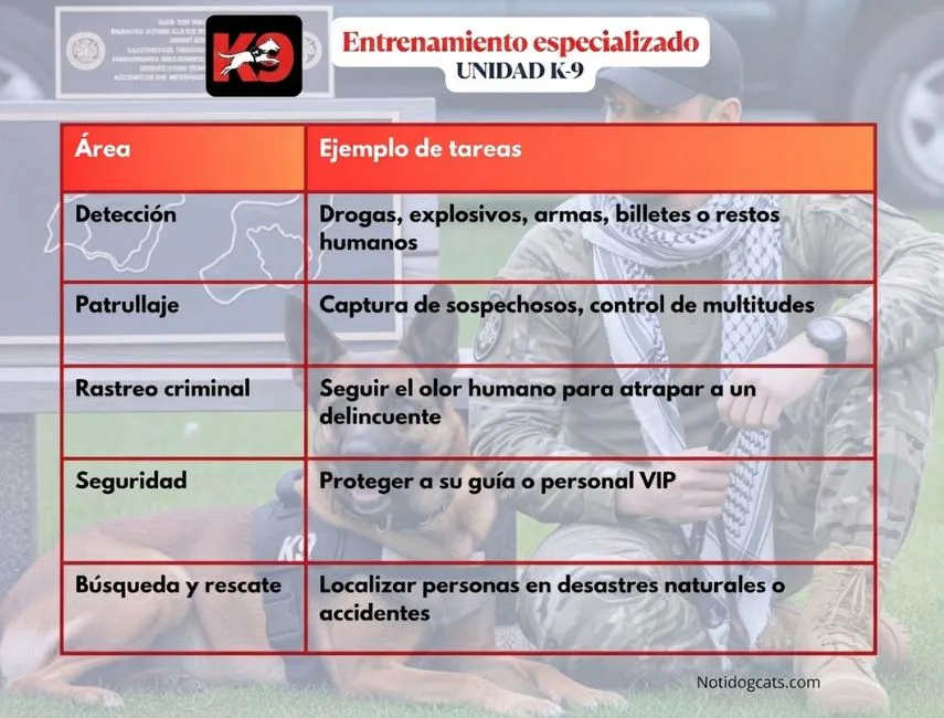 Entrenamiento especializado en la unidad K9