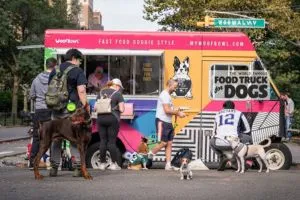 (10) Tendencia en auge: Emprender en repostería y snacks para mascotas conquista corazones y colitas 6