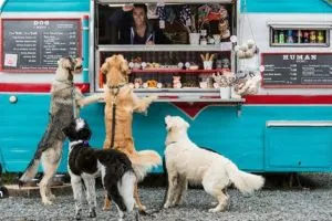 (10) Tendencia en auge: Emprender en repostería y snacks para mascotas conquista corazones y colitas 5