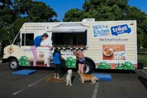 (10) Tendencia en auge: Emprender en repostería y snacks para mascotas conquista corazones y colitas 4 repostería y snacks para mascotas