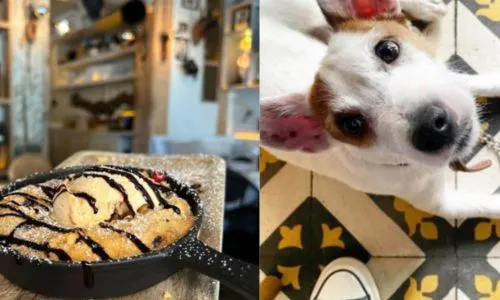 (10) Tendencia en auge: Emprender en repostería y snacks para mascotas conquista corazones y colitas 18