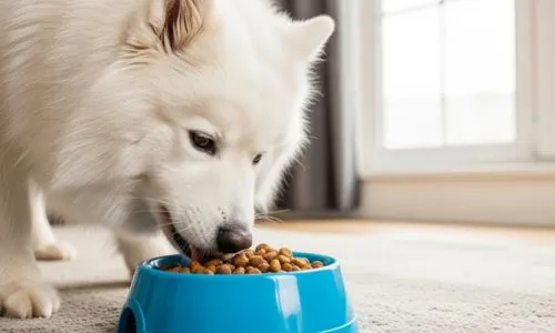 Vigilar la reacción del animal durante su alimentación. Previene mayores malestares