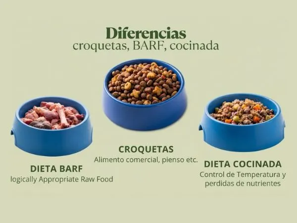 Diferentes tipos de alimentos