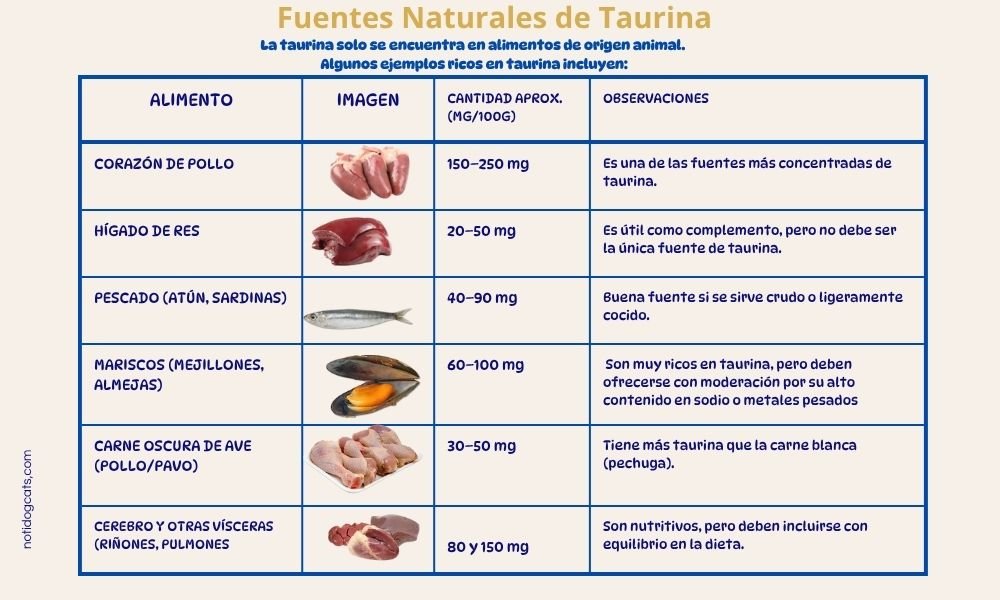(12) Taurina en Gatos ¿ Esencial para su Bienestar? 3 Fuentes naturales de la Taurina en Gatos