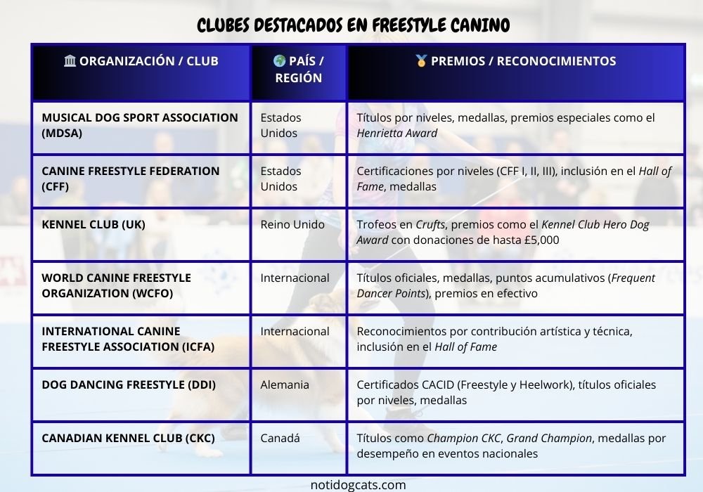 clubes de freestyle canine
