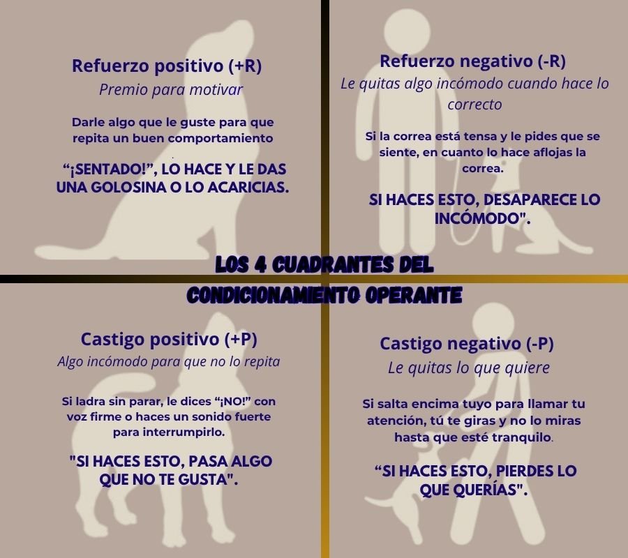 cuadrante de Obediencia Básica canina