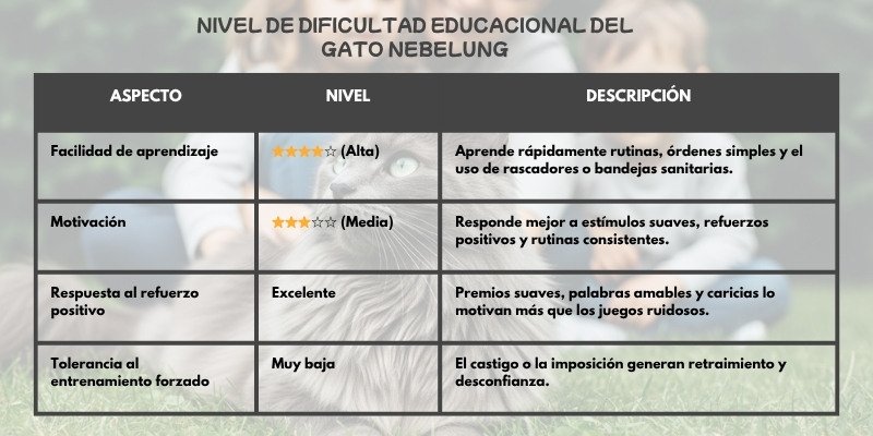 (29) El Gato Nebelung y Todo Sobre su Fascinante Mundo 5 nivel eductivo para el gato nebelung
