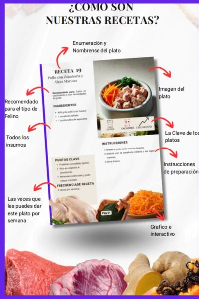 Ebook: MEGA PACK Recetas de Dieta BARF Para PERROS y GATOS 7