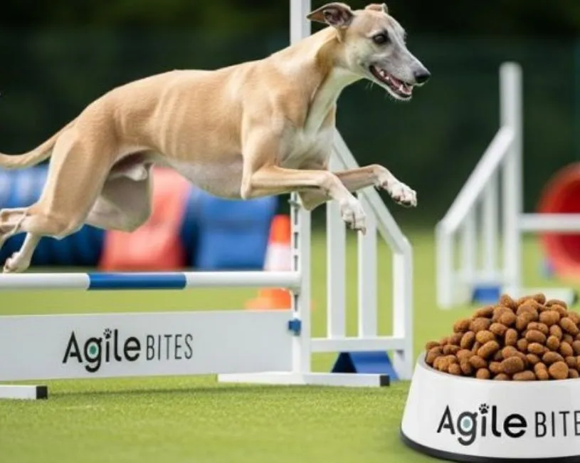 (39) El perro Whippet: un compañero fascinante de velocidad y elegancia 5 El perro Whippet