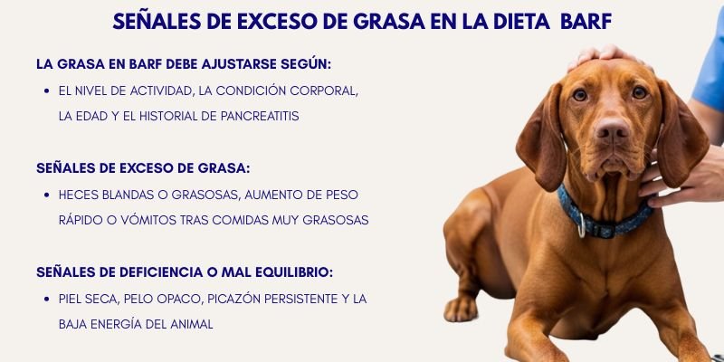 (43) Macronutrientes en Perros y su Balance Esencial Según el tipo de Alimentación. 6
