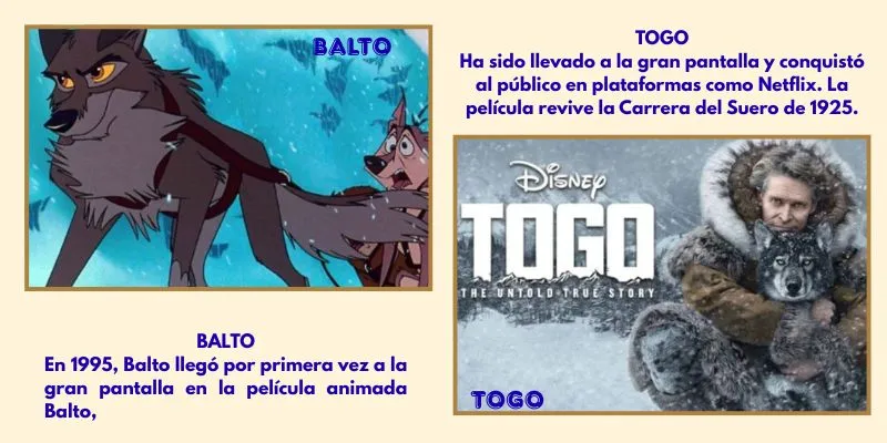 (52) La Carrera del Suero: Togo y Balto, dos Valientes héroes en relevos 5 togo y balto su historia en pelicula