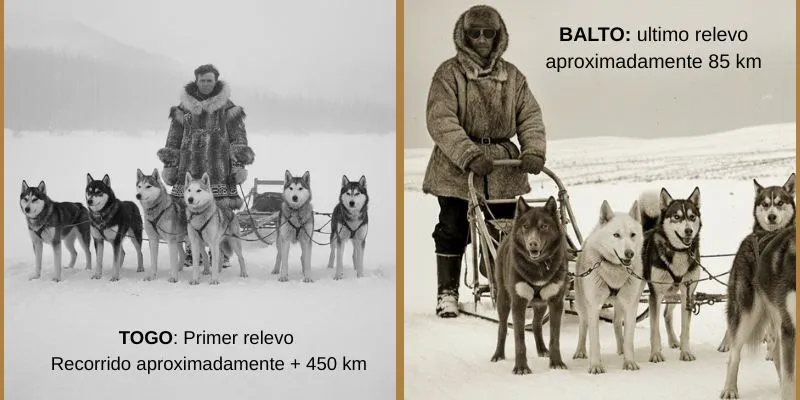 (52) La Carrera del Suero: Togo y Balto, dos Valientes héroes en relevos 2 Togo y Balto