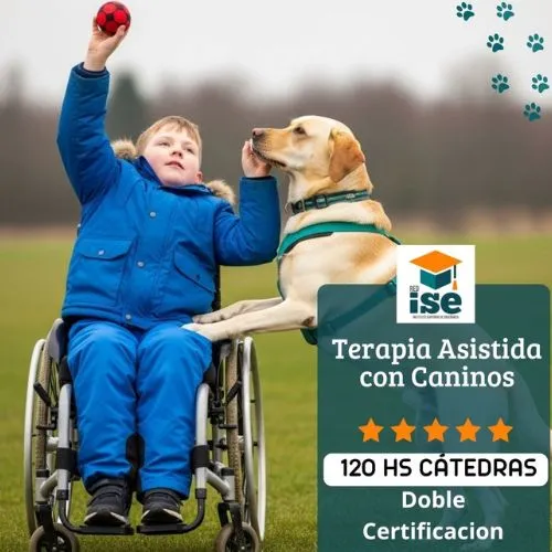 Capacitante en entrenamiento en perros de asistencia con caninos