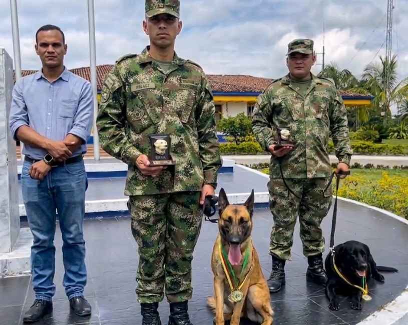 (73) K9 del Ejército Colombiano: los héroes de cuatro patas que salvan vidas (2020–2026) 5 K9 del Ejército Colombiano