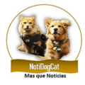 NotiDogCats