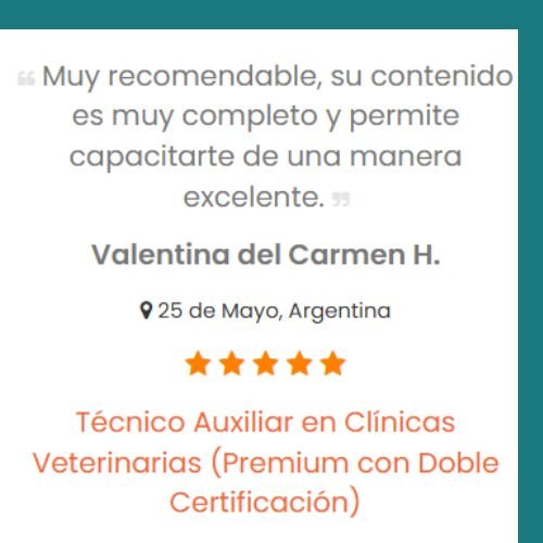 ISE CURSOS 17