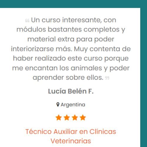 ISE CURSOS 20