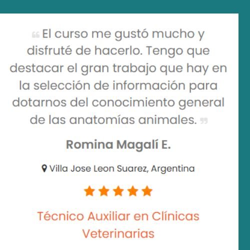 ISE CURSOS 21