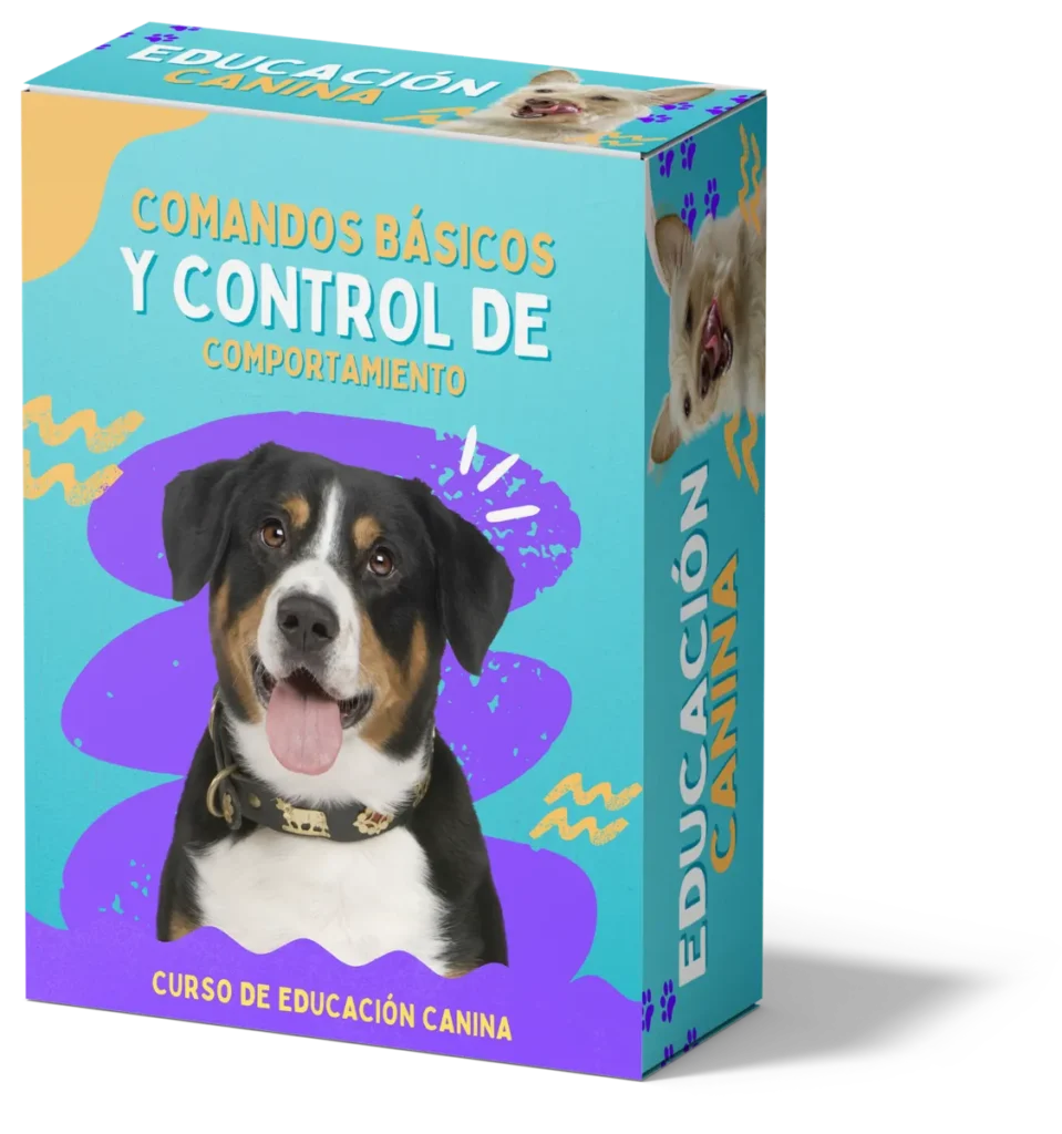 CURSO: EDUCACION CANINA 2
