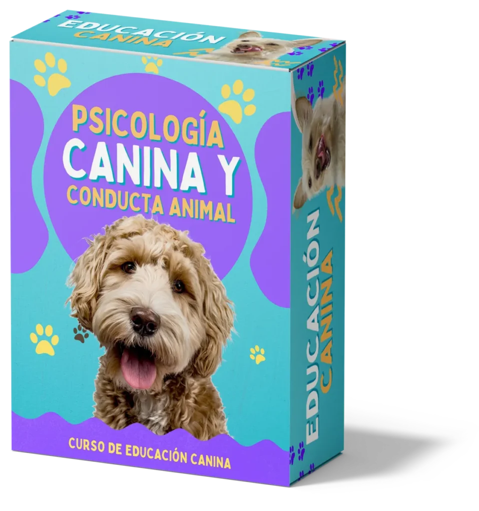 CURSO: EDUCACION CANINA 3