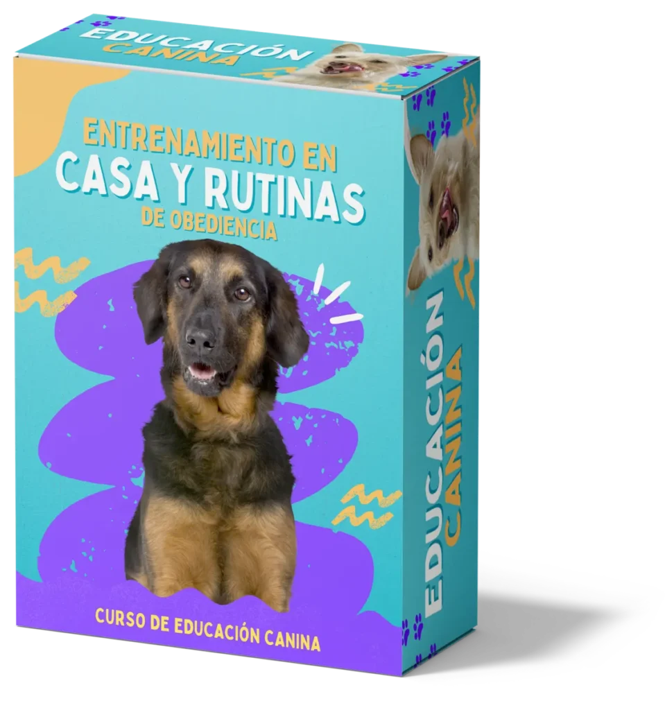 CURSO: EDUCACION CANINA 4