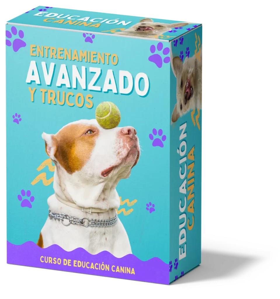 CURSO: EDUCACION CANINA 5