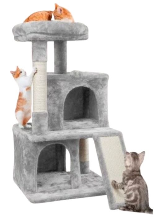 gimnasios para gatos
