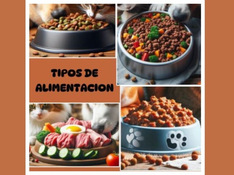 "Introducción General: Nutrición para Perros y Gatos" 2
