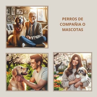 Genial 8 Funciones esenciales de los Perros 4 Funciones esenciales de los Perros