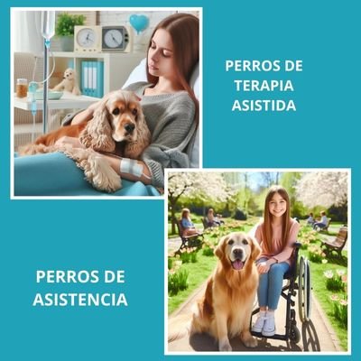 Genial 8 Funciones esenciales de los Perros 6