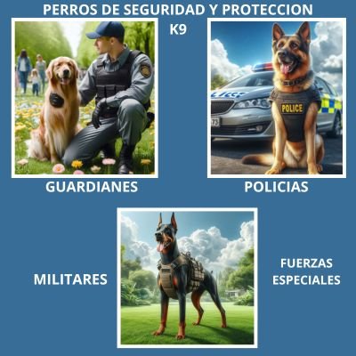 Genial 8 Funciones esenciales de los Perros 3