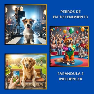 Genial 8 Funciones esenciales de los Perros 8