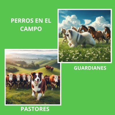 Genial 8 Funciones esenciales de los Perros 7