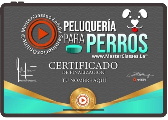 CURSO: PELUQUERIA PARA PERROS 3 NIVELES 17