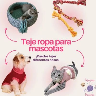 ropa tejida para mascotas