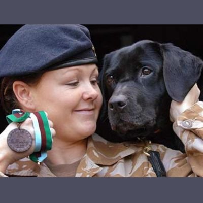 5 historias heroicas de Labradores Retriever 8