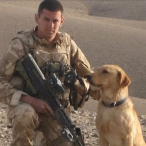 5 historias heroicas de Labradores Retriever 2