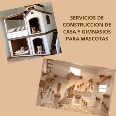 Fenomenal 9 “Negocios Pet-Friendly” para emprender 13 negocios Pet-Friendly