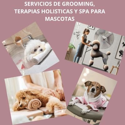 Fenomenal 9 “Negocios Pet-Friendly” para emprender 11 negocios Pet-Friendly