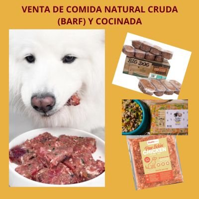 Fenomenal 9 “Negocios Pet-Friendly” para emprender 14